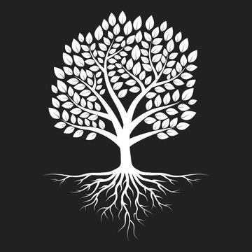 Tree with roots silhouette. Vector isolated Illustration.