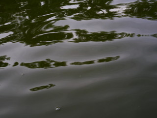 reflection in water background