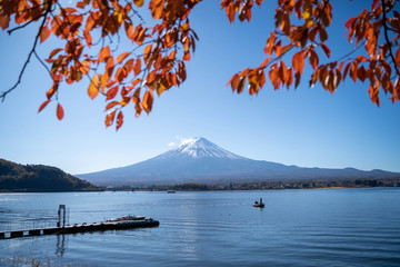もみじと富士山in河口湖