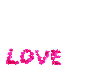 the word love of pink natural bougainvillea flowers for valentines day