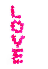the word love of pink natural bougainvillea flowers for valentines day