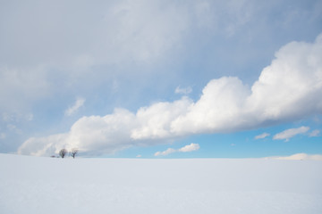 美瑛の冬