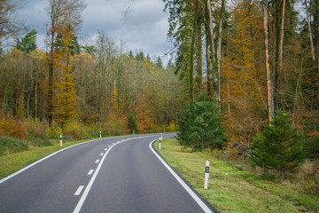 Fototapeta premium road in the forest