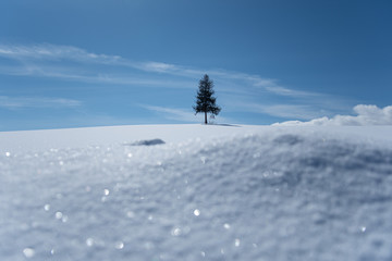 雪光る美瑛