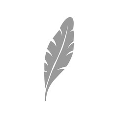 feather icon vector design symbol