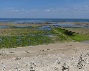 paysage marée basse 