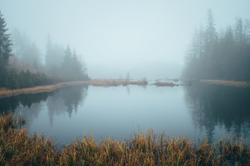 Fototapeta premium Misty morning by autumn lake, peaceful scenery, white edit space