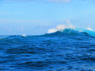 exploring tropical island paradise