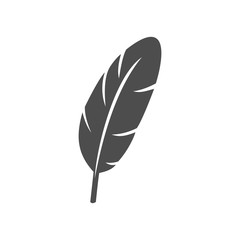 feather icon vector design symbol