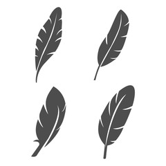 Obraz premium feather icon vector design symbol