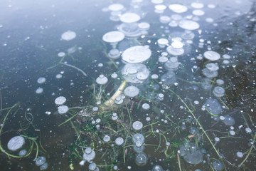 Frozen lake Air bubbles frozen in the ice of the lake. Beautiful winter background