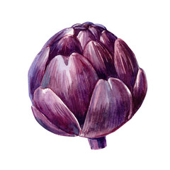 vegetables artichoke on isolated white background, watercolor illustration