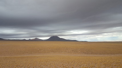 sand dunes in the desert