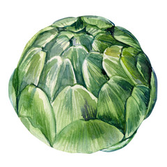 Obraz premium vegetables artichoke on isolated white background, watercolor illustration