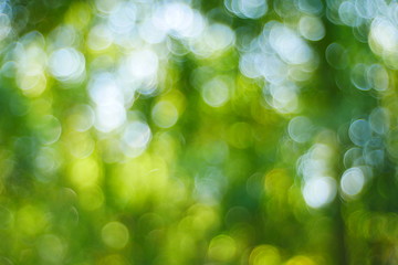 Christmas tree blurred background, effect green bokeh light background, blurred green light