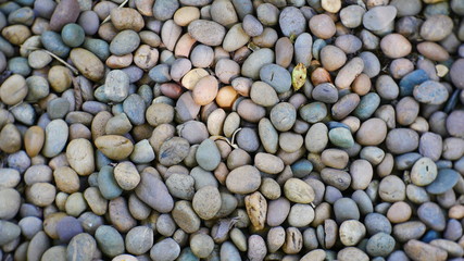 pebbles stone  garden nature background, stone background