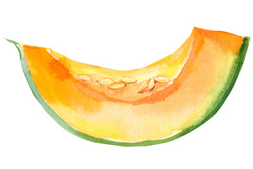 pumpkin slices vegetables on isolated white background, watercolor illustration