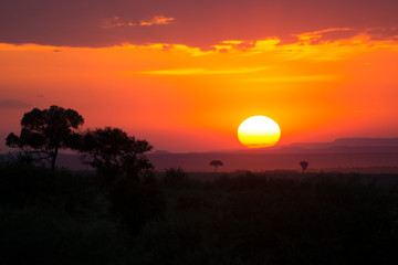 Breathtaking sunset in Masai Mara National Park in Kenya, Africa