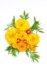 Autumn orange flowers composition on white background. Flat lay, vertical frame