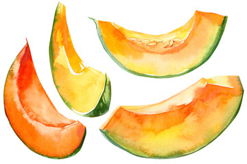 pumpkin slices vegetables on isolated white background, watercolor illustration - obrazy, fototapety, plakaty