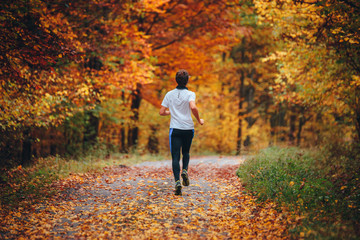 Trail runner in colorful autumn nature. Athlete training in Carpathian forest