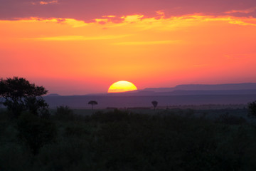 Fototapeta na wymiar Breathtaking sunset in Masai Mara National Park in Kenya, Africa