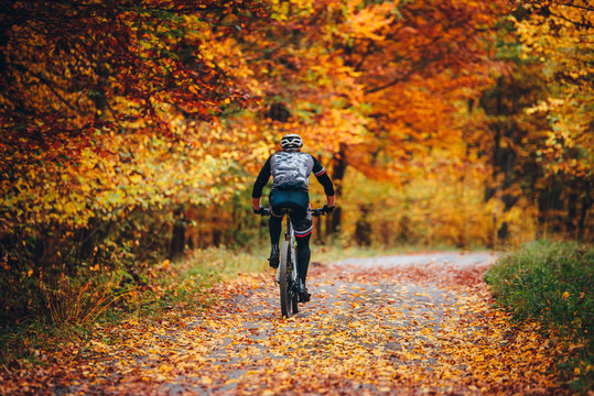 MTB Biker Ride in colorful autumn forest.