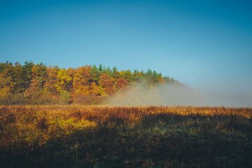 Fototapeta premium Morning autumn landscape. Colorful trees and mist, indian Summer