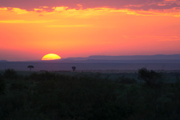 Obraz na płótnie Canvas Breathtaking sunset in Masai Mara National Park in Kenya, Africa