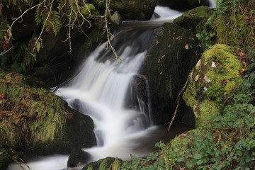 Waterfall in the forest 