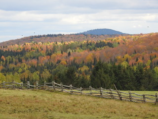 A field of the region in autumn