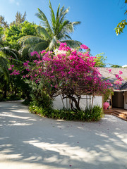 Maldives island with beach water bungalows and massage tables, South Male Atoll, Maldives