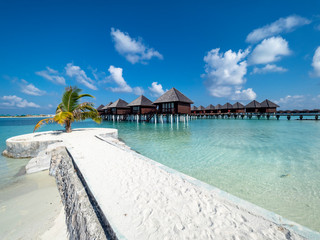 Maldives island with beach water bungalows and palm trees, South Male Atoll, Maldives