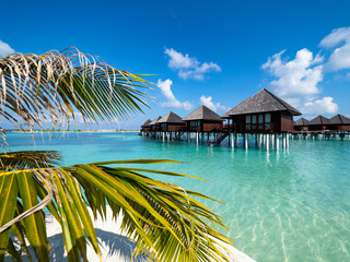 Maldives island with beach water bungalows and palm trees, South Male Atoll, Maldives - obrazy, fototapety, plakaty