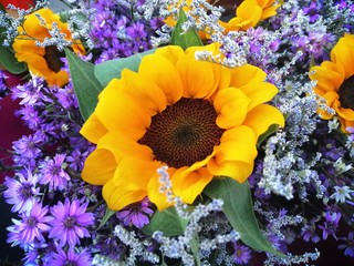  Sunflowers stand out on small purple flowers.