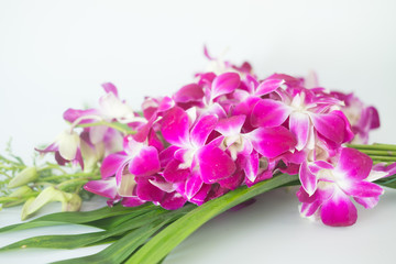 Close up violet orchid with pandan on white background