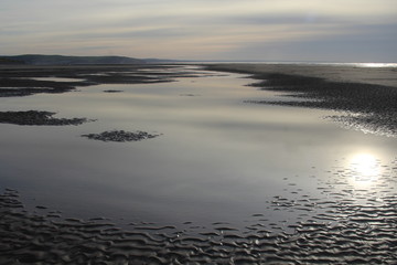Beach Landscape Background