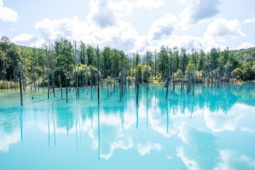 Fototapeta na wymiar Shirokane Aoi ike (Blue pond) at Biei, Hokkaido, Japan
