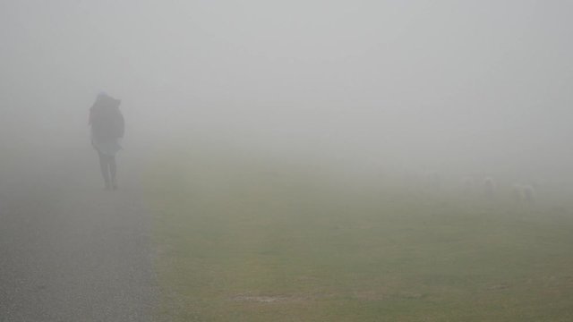 pilgrim goes slowly into the fog