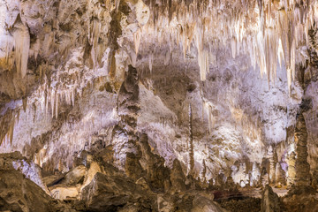 Fototapeta na wymiar Carlsbad Cavern National Park, New Mexico, USA