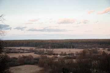 spring landscapes on the forest and meadow
