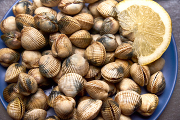 view of fresh cockles on a plate