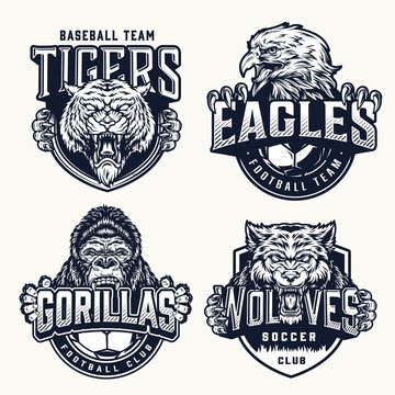 Football and baseball clubs vintage emblems