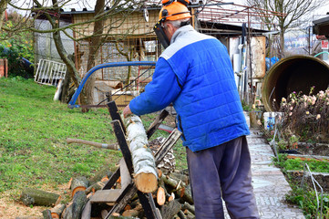 Gardener saws wood traditionally by hand saw for winter