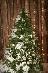 Fototapeta na wymiar Decorative artificial christmas trees in the store