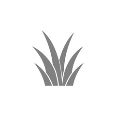 Fototapeta na wymiar grass icon vector design symbol