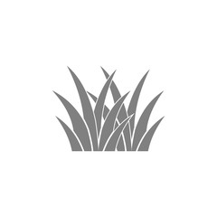 Fototapeta na wymiar grass icon vector design symbol