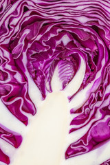 Obraz premium Organic Red Cabbage
