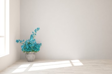 Empty room in white color with blue flower. Scandinavian interior design. 3D illustration