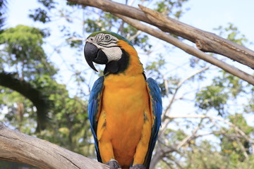 A beautiful view of Bird Park in Bali, Indonesia